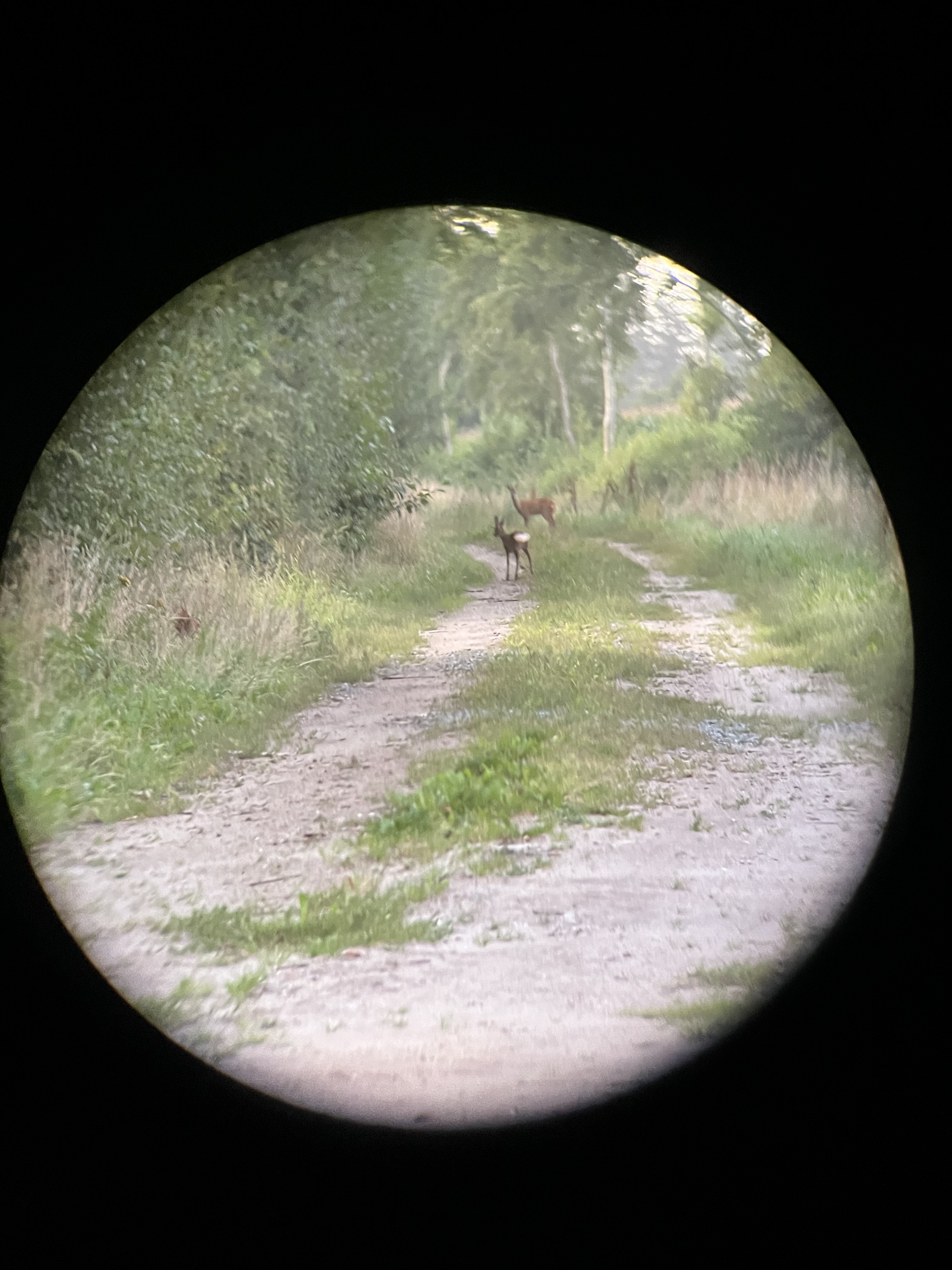 Så kom en rigtig jæger hen