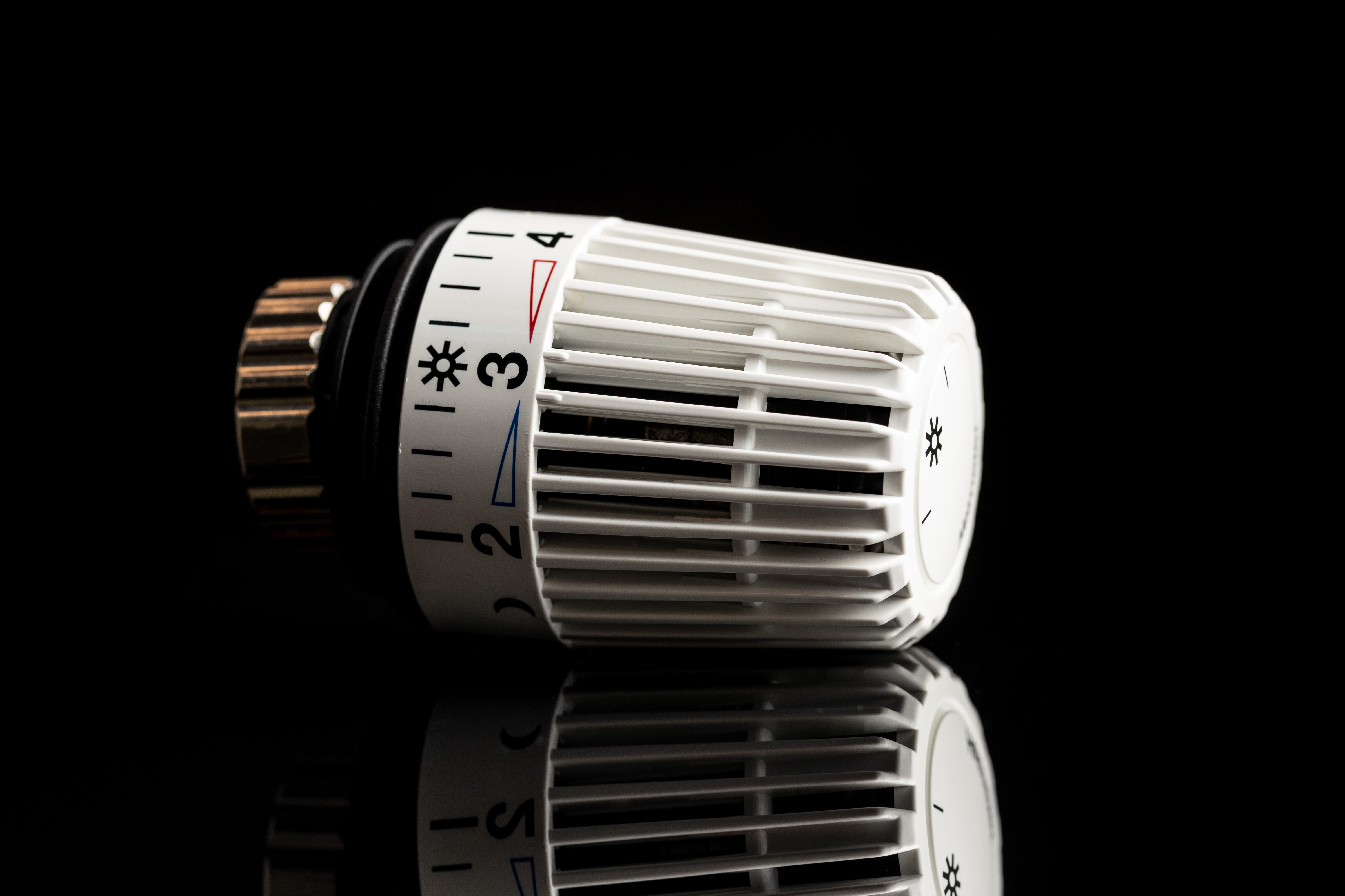 Ingen kommer  til at fryse