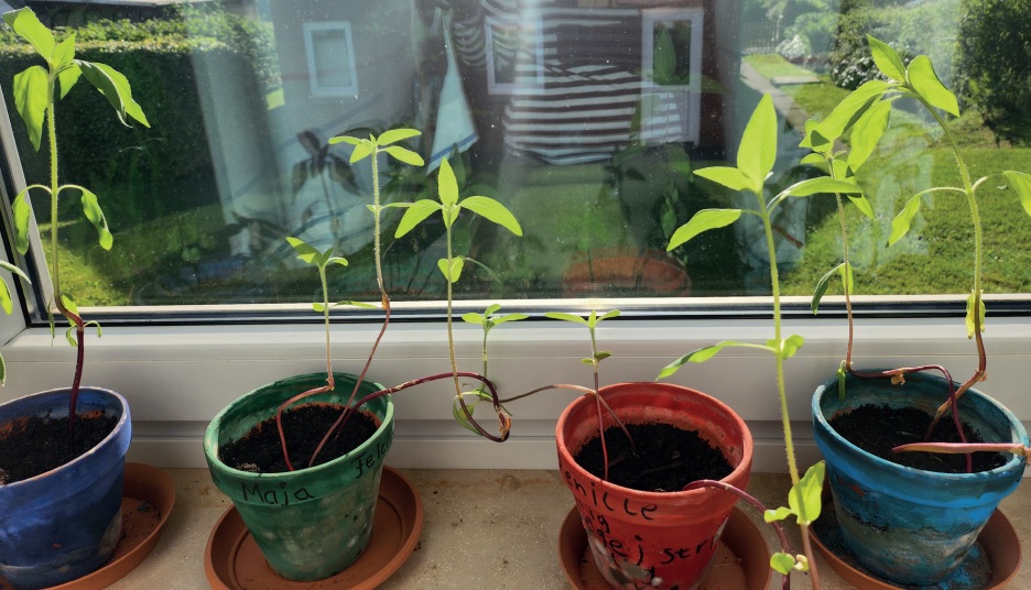 Trivsel for fuld styrke