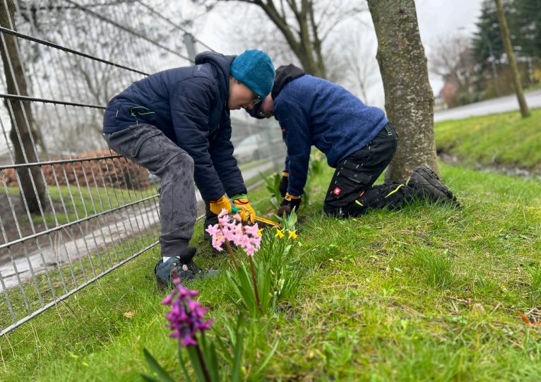 Risums bier har fået flere blomster