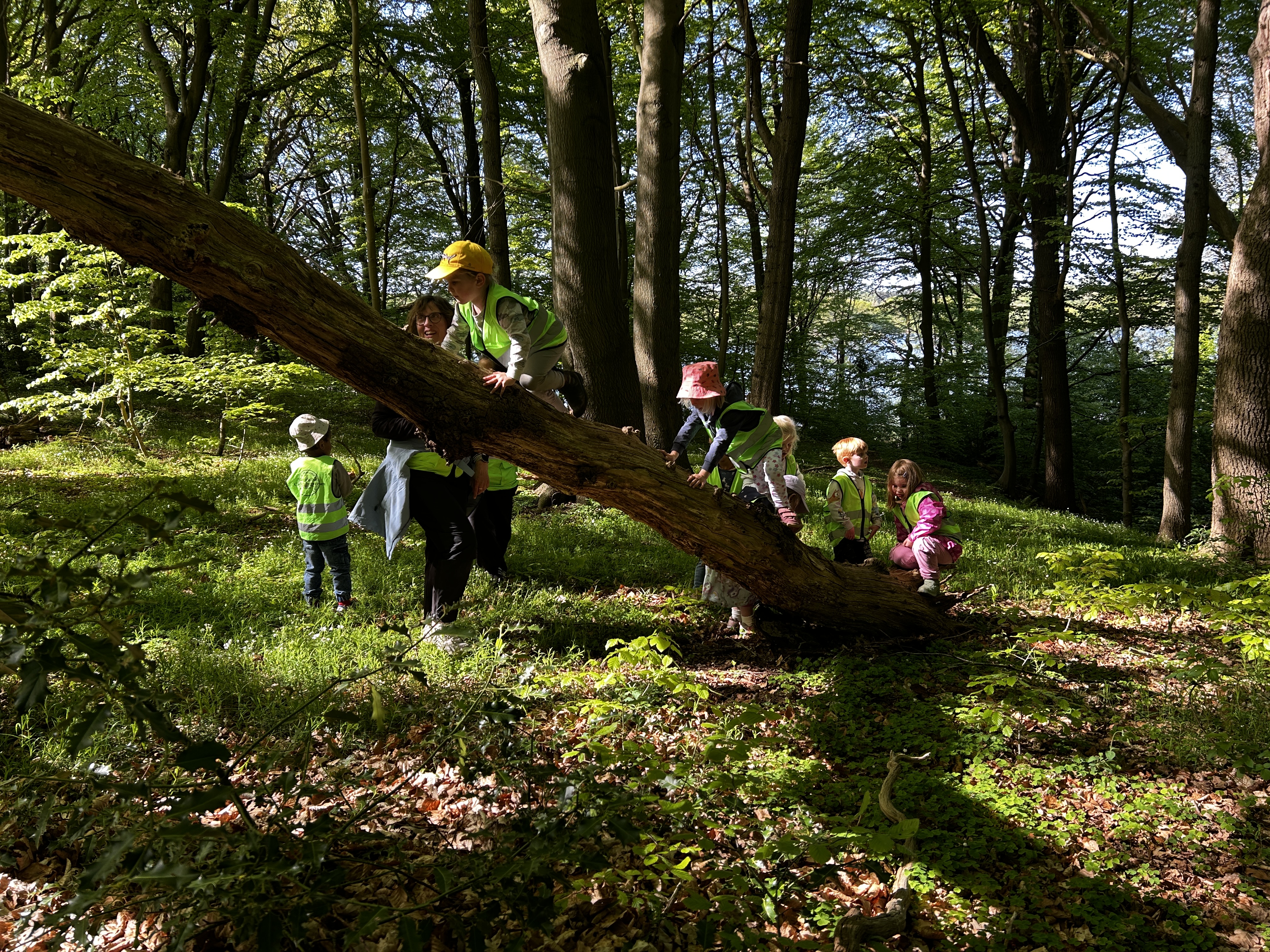 Ude godt - og hjemme bedst