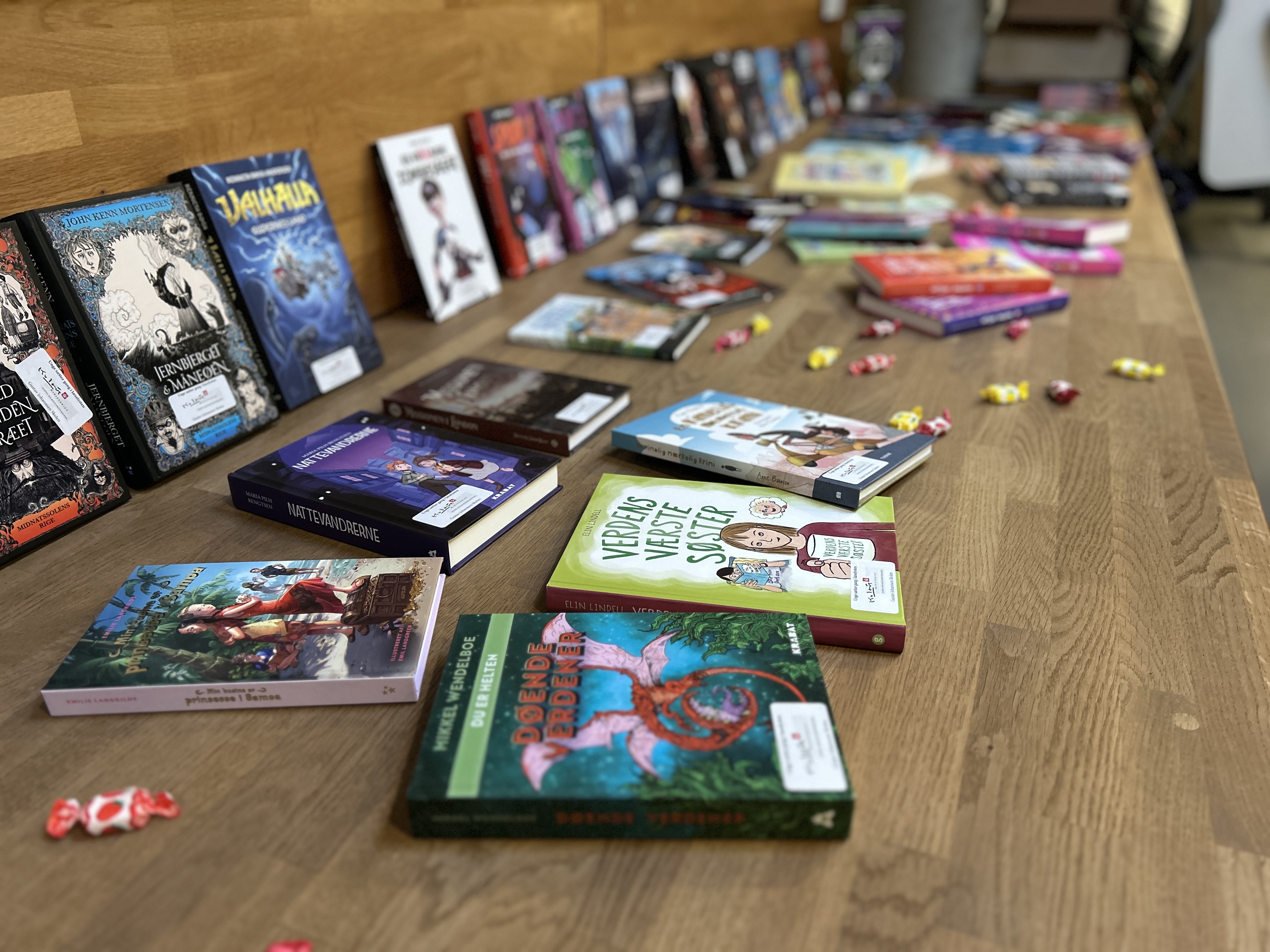 Fra ønskeliste til bogfest